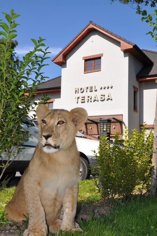 Hotel Terasa Фрідек-Містек Екстер'єр фото